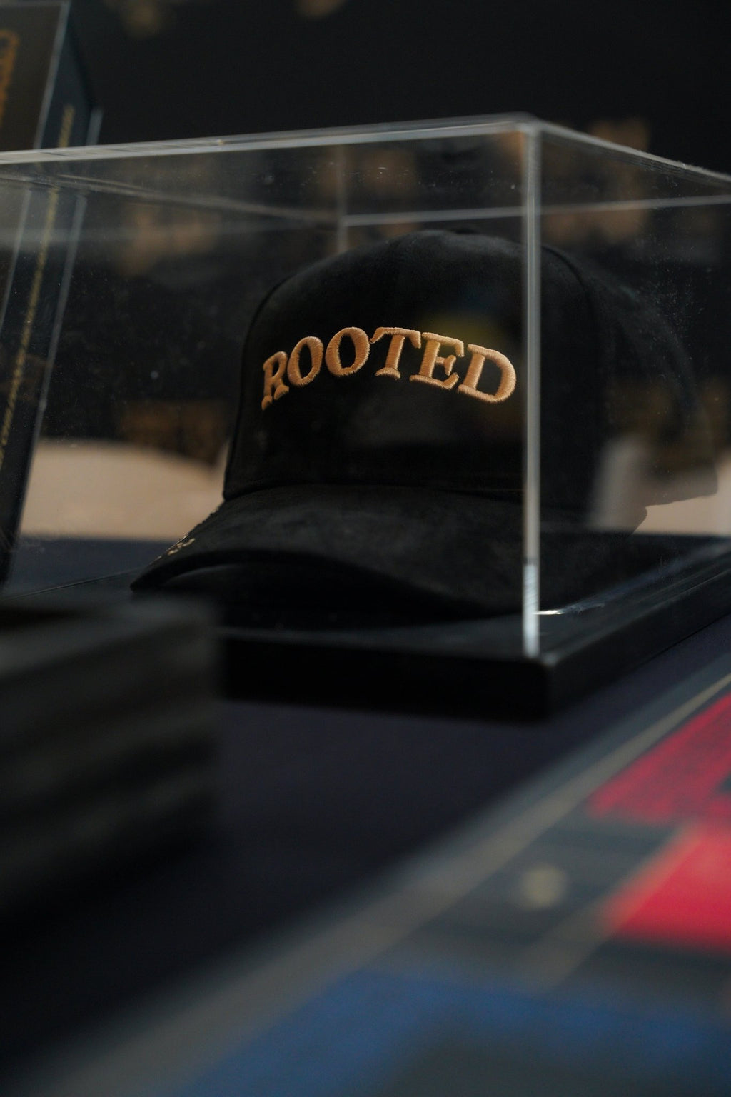 Rooted in Culture Dad Hat | Premium Suede Adjustable Cap - Ludo Ghar